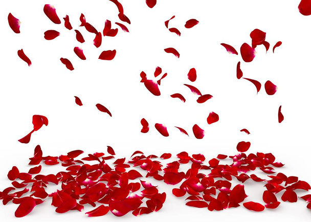 Růží spadnout na zem - Fotografie, Obrázek