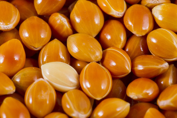 Milhetes formam um grupo de várias culturas de cereais com sementes pequenas
 - Foto, Imagem