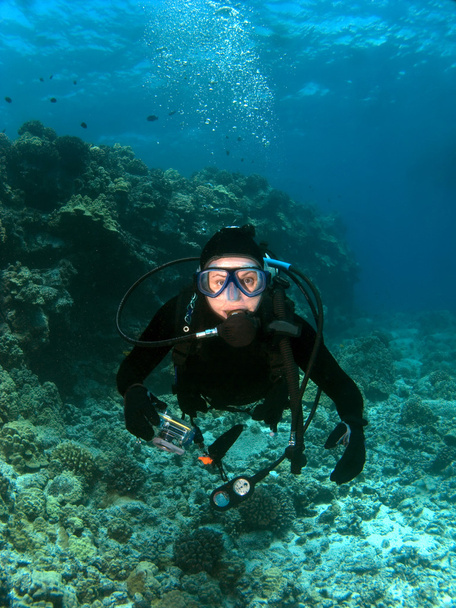 Scuba Diver indagando sulla fotocamera alle Hawaii
 - Foto, immagini