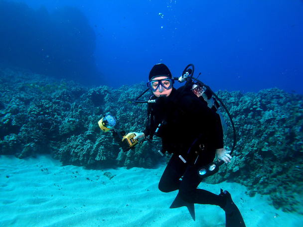 Подводный фотограф в окружении Гавайского рифа
 - Фото, изображение