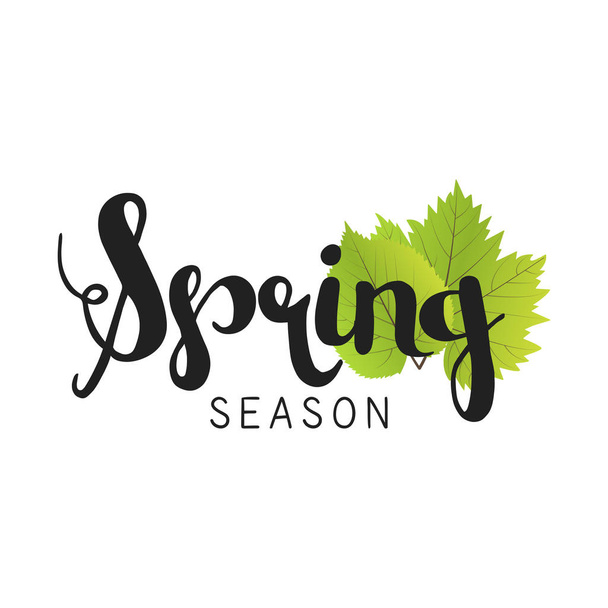 Frühling Saison Brief und grüne Blätter Vektor Illustration - Vektor, Bild