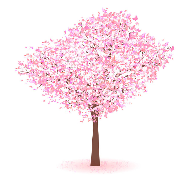Třešeň jarní květ ikona - Vektor, obrázek
