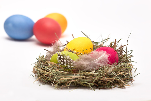 huevos de Pascua en el nido - Foto, Imagen