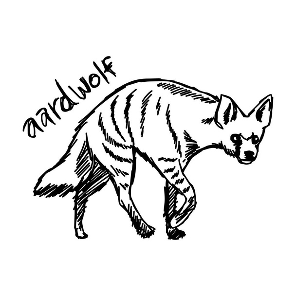 vetor ilustração esboço mão desenhada com linhas pretas de aardwolf isolado no fundo branco
 - Vetor, Imagem