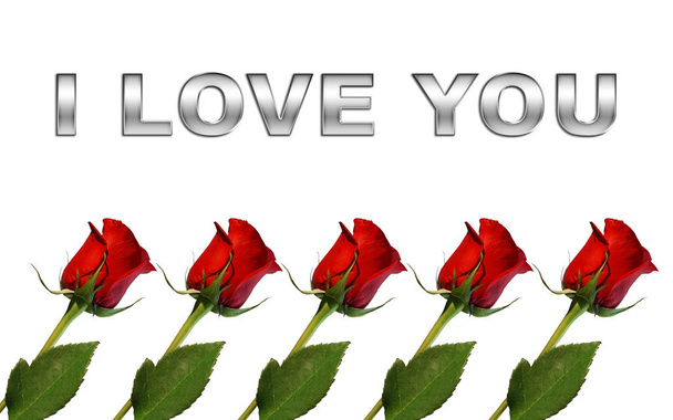 red roses isolated on white background with words I love you - Foto, Imagem