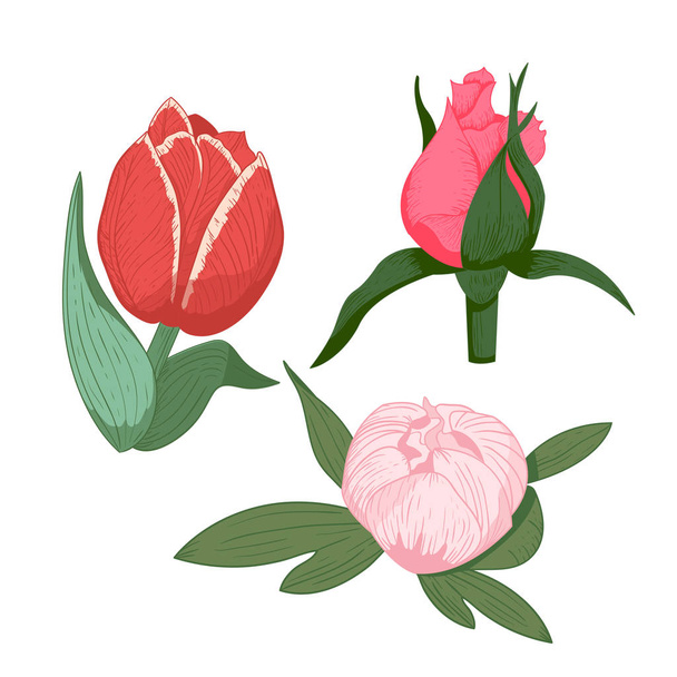 Vintage flowers vector illustration. - Διάνυσμα, εικόνα