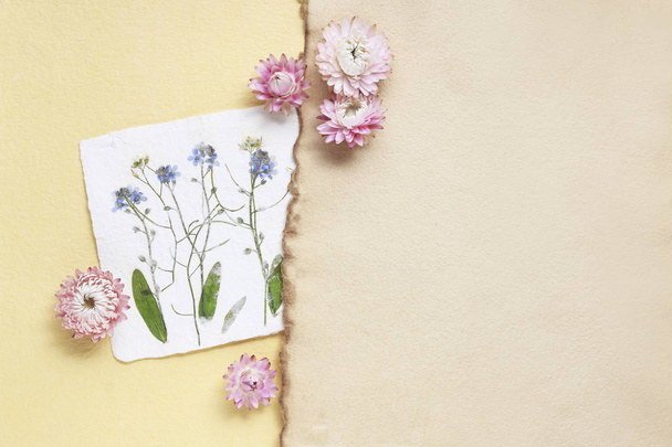Dried pressed flowers on vintage paper background - Foto, Imagen
