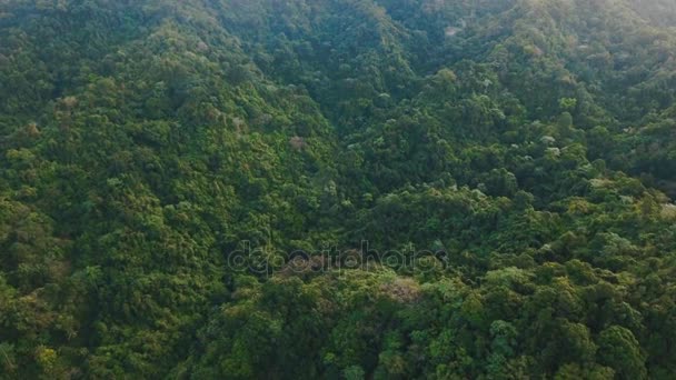 Góry z lasów tropikalnych. Catanduanes Filipin wyspie. - Materiał filmowy, wideo