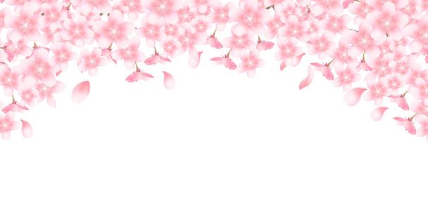 桜春の花背景 - ベクター画像