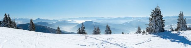 雪山冬のパノラマ - 写真・画像