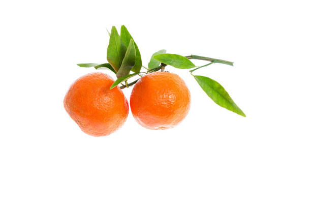 Calamondin Cítricos fruta naranja con hojas verdes sobre un fondo blanco
 - Foto, imagen