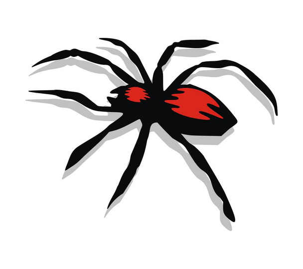 Dangerous Poison Black Spider - Vector, Image