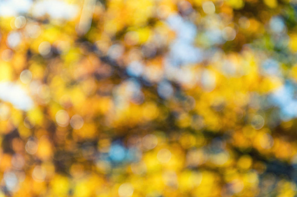 Bokeh renk ışık sonbahar renk bulanık - Fotoğraf, Görsel