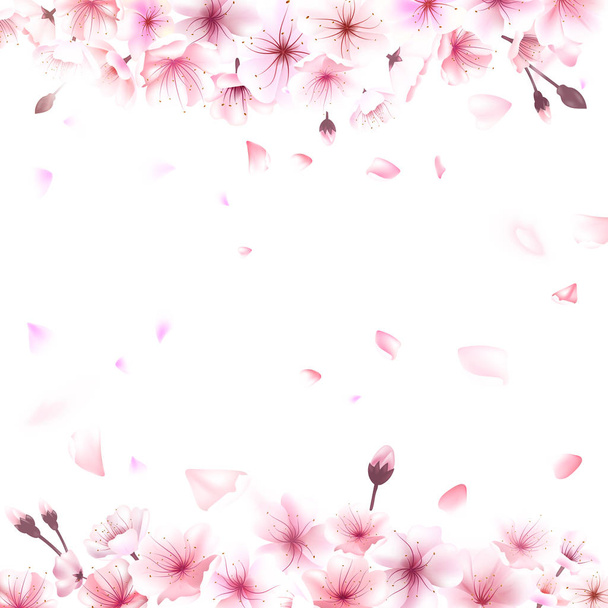 Blooming cherry. Spring background. Falling sakura pink petals. EPS 10 vector - Вектор,изображение