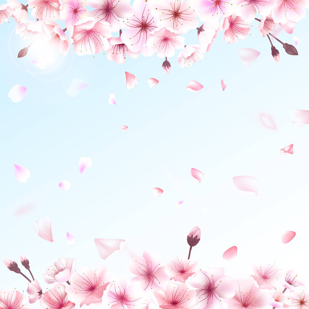 Blooming cherry. Spring background. Falling sakura pink petals. EPS 10 vector - Vector, imagen