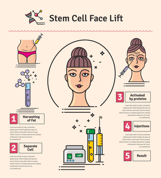 Vector Conjunto ilustrado con lifting facial de células madre de cosmetología
 - Vector, imagen