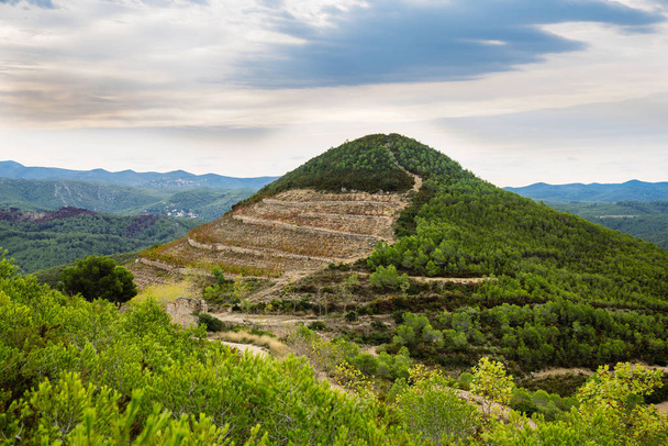 Dağlar ve mavi gökyüzü karşı güzel eski üzüm. Catalonia, İspanya. Sonbahar günü - Fotoğraf, Görsel