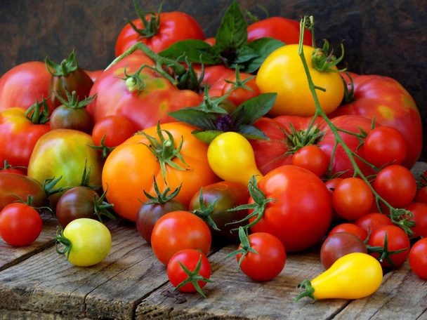 Assortiment de tomates colorées biologiques fraîches sur fond en bois. Vue du dessus
. - Photo, image