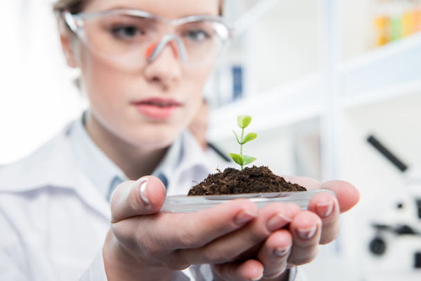 Female scientist with green plant - Фото, изображение