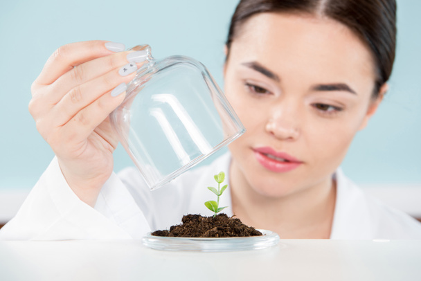 Female scientist with green plant - Foto, imagen