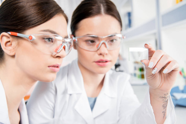 Young female scientists   - 写真・画像