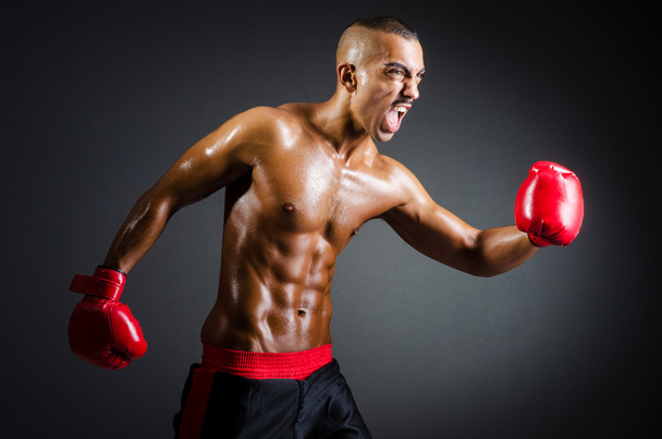Muscular boxer in studio shooting - Foto, imagen