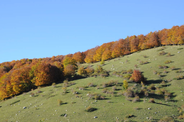 sonbahar sırasında dağlar  - Fotoğraf, Görsel