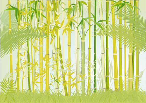 bamboe jungle - Vector, afbeelding