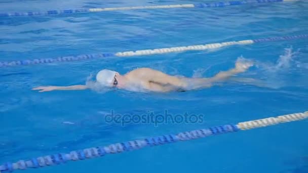 Atletas treinados nadadores na piscina
 - Filmagem, Vídeo