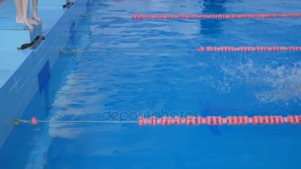 Relay Race. Competition In the Pool - Footage, Video