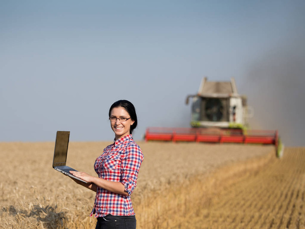 Femme avec ordinateur portable à la récolte de blé
 - Photo, image