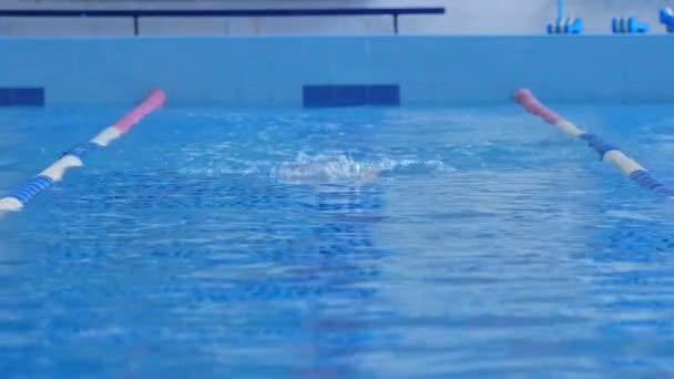 Kız yüzücü bir havuzda yüzüyor - Video, Çekim