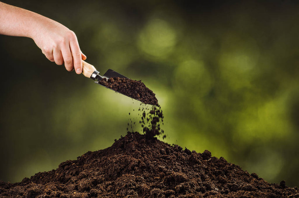 Hand pouring black soil on green plant bokeh background - Foto, afbeelding