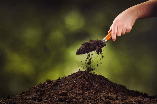 Hand pouring black soil on green plant bokeh background - Foto, imagen