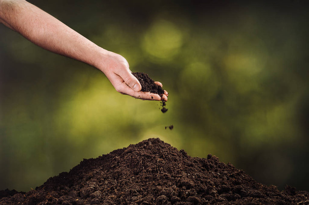 Hand pouring black soil on green plant bokeh background - Fotoğraf, Görsel