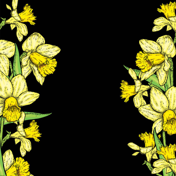 Beautiful daffodils. Vector illustration. Bouquet of spring flowers. - Vektor, obrázek