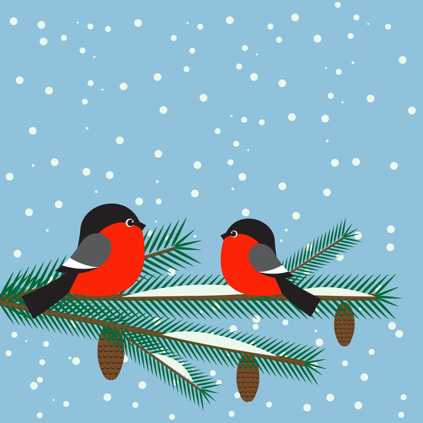 Cute bullfinches on branch spruce - Vector, Image