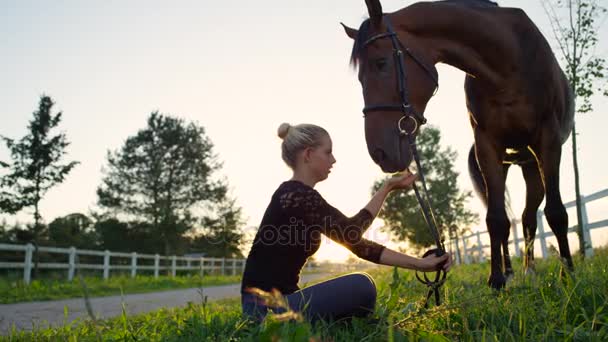 スローモーション: 美しい笑みを浮かべて少女草原に座って、彼女の馬を供給 - 映像、動画