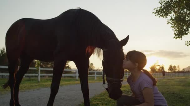 Közelről: Aranyos kis lány a csókolózás szép nagy barna ló, a varázslatos naplemente - Felvétel, videó