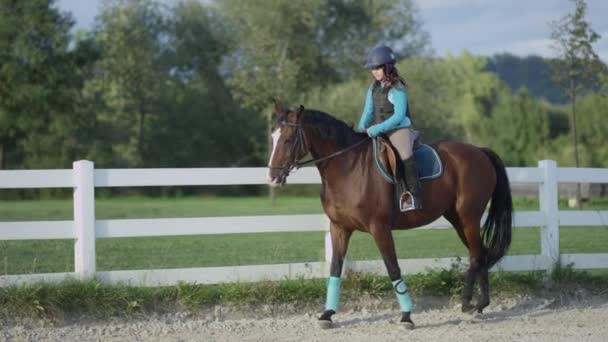 SLOW MOTION: Encantadora menina feliz cavalo cavalgando grande cavalo marrom forte
 - Filmagem, Vídeo