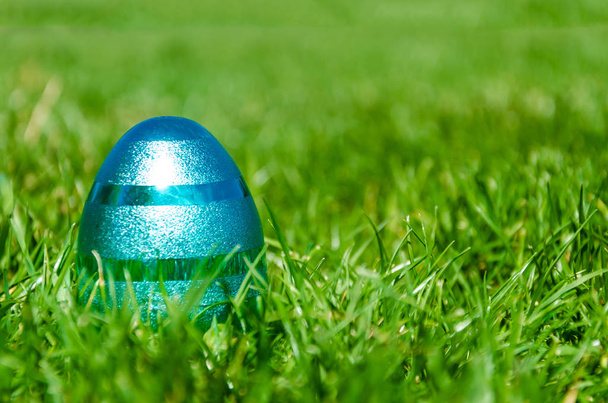 Çim zemin üzerine mavi Paskalya yortusu yumurta - Fotoğraf, Görsel