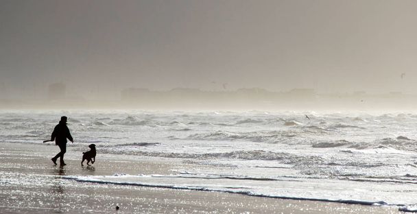 Sylwetka mężczyzny bawiącego się z psem na plaży - Zdjęcie, obraz