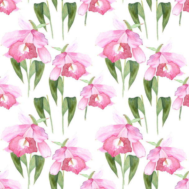 Pink orchid, cattleya on white background. Seamless watercolor pattern - Foto, Imagen