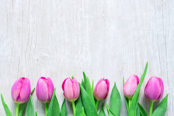 Tulipany z rzędu na drewniany stół dla 8 marca, s - Zdjęcie, obraz