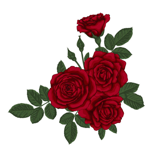 beautiful bouquet with red roses and leaves. Floral arrangement. - Vector, Imagen