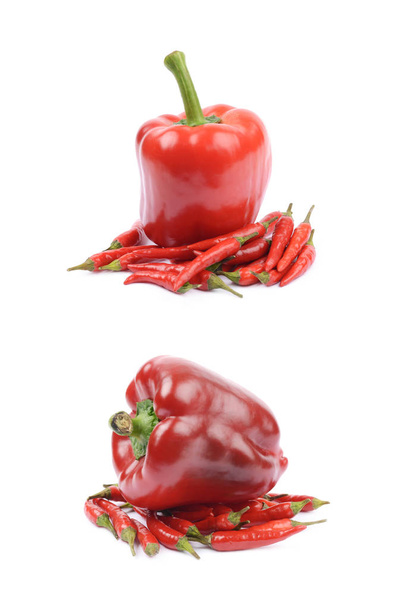 Red italian peppers isolated - 写真・画像