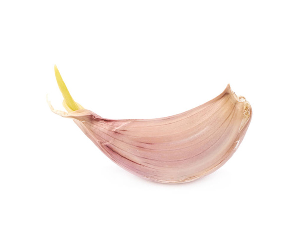 Single garlic clove isolated - Фото, зображення