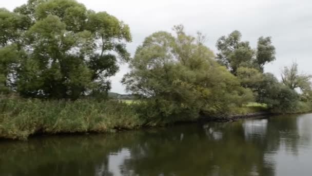 ハーフェル川沿いのボートで運転。牧草地と柳の典型的な風景を試みます。Havelland 地域。(ドイツ) - 映像、動画
