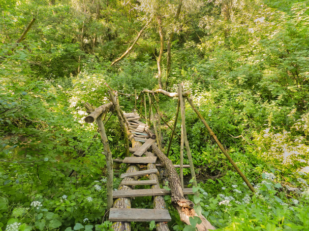 Small wooden bridge in the forest - Photo, Image