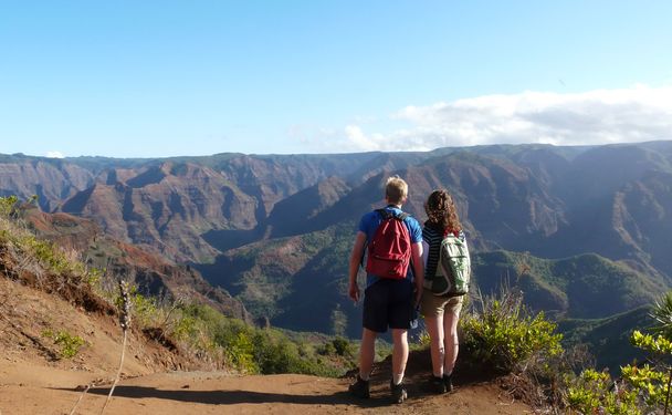 Turistas con vistas al cañón de Waimea
. - Foto, Imagen